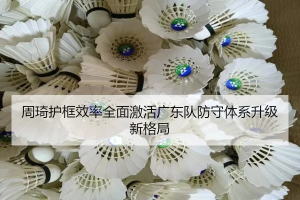 周琦护框效率全面激活广东队防守体系升级新格局