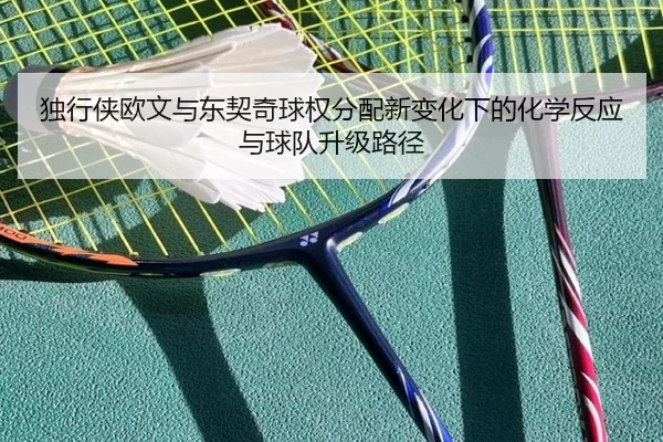 独行侠欧文与东契奇球权分配新变化下的化学反应与球队升级路径